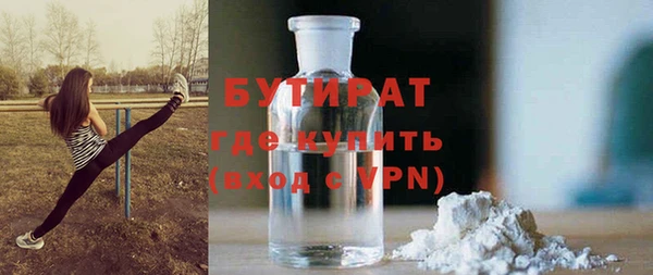 гашик Алексин