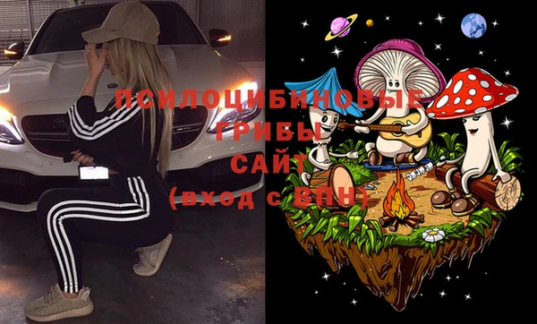 дурь Алзамай
