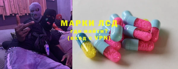гашик Алексин
