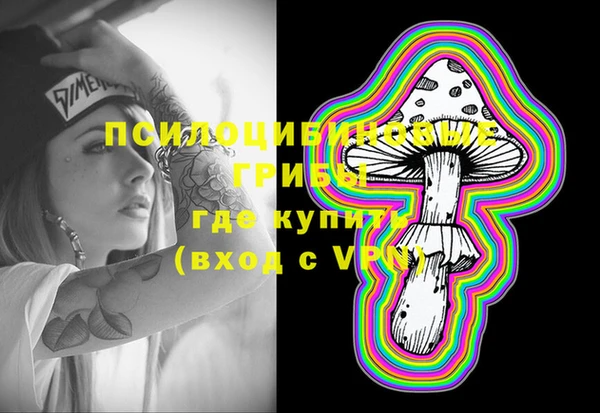 дурь Алзамай