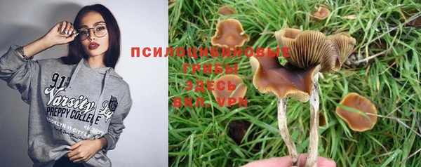 дурь Алзамай