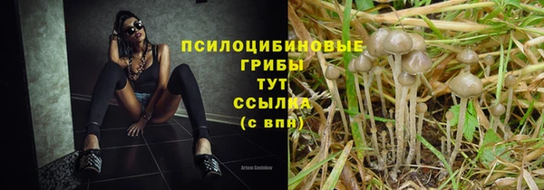 амф Алексеевка
