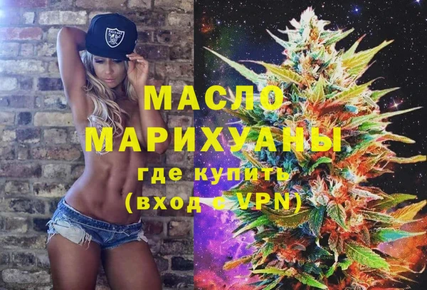 гашик Алексин