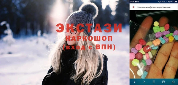 гашик Алексин