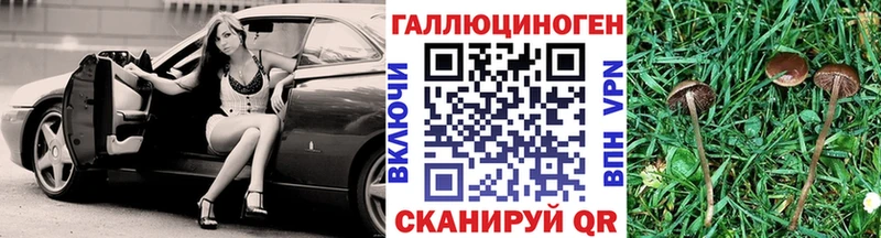 гидра зеркало  Краснознаменск  Галлюциногенные грибы мицелий 