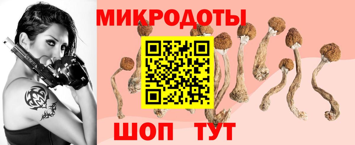Галлюциногенные грибы мицелий  Вход с VPN  Галлюциногенные грибы мицелий  Краснознаменск 