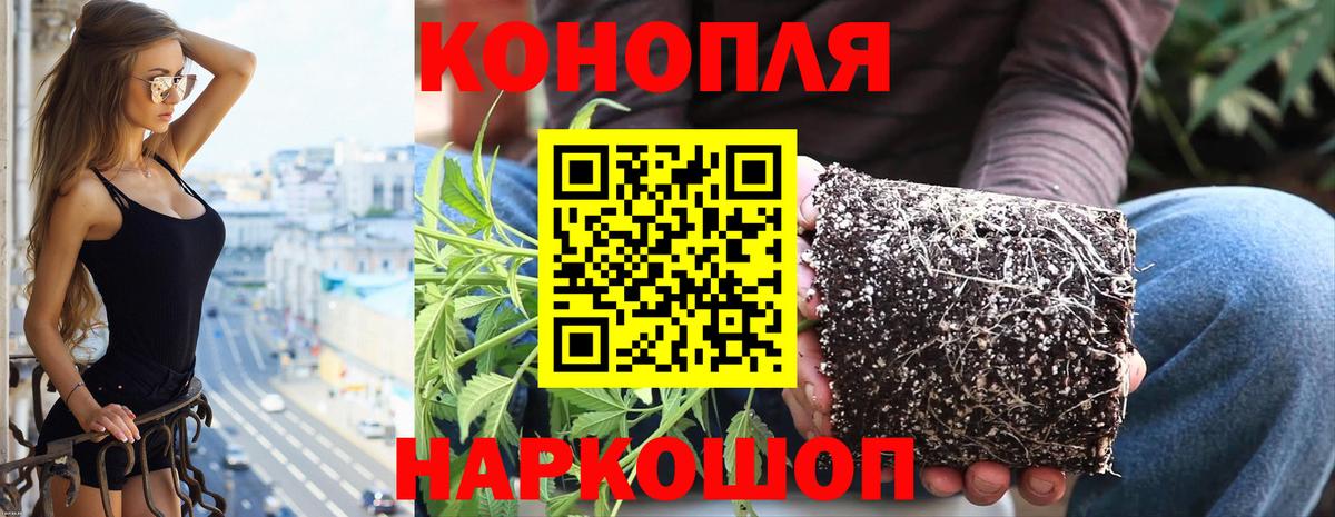 Бошки Шишки VHQ  Бошки марихуана Amnesia  Вход с VPN  Краснознаменск 